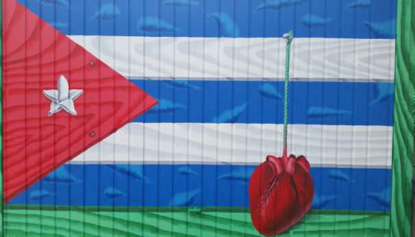 Kubas Weg zur neuen Verfassung