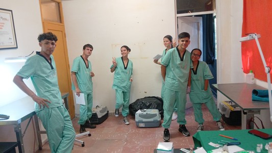 probaf-4.-tierschutzaktion-03-vorschau.jpg