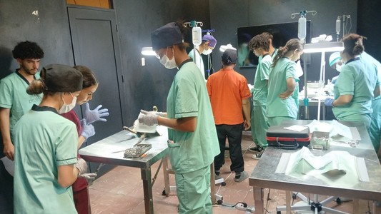 probaf-4.-tierschutzaktion-04-vorschau.jpg