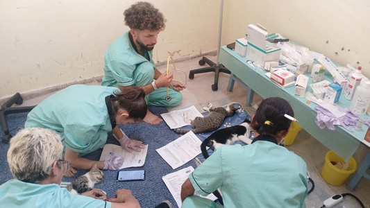probaf-4.-tierschutzaktion-05-vorschau.jpg