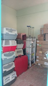 probaf-4.-tierschutzaktion-11-vorschau.jpg